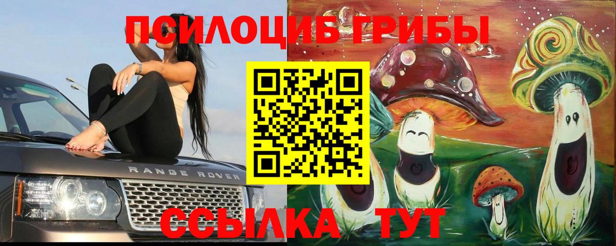 Галлюциногенные грибы MAGIC MUSHROOMS  Вход с VPN  Лесозаводск 