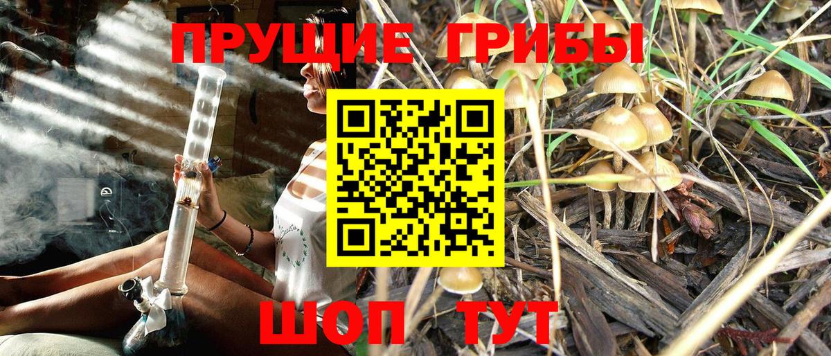 А ПВП СК кристаллы  Кокаин  Лесозаводск  Вход с VPN  Гашиш  МЕФ кристаллы 