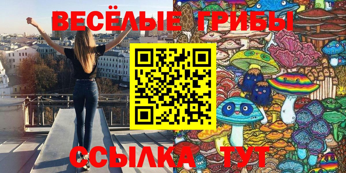 Галлюциногенные грибы Psilocybine cubensis Лесозаводск